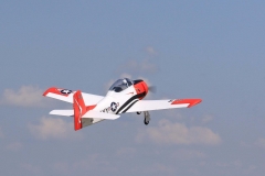14-Avions anciens  8 mai (158)