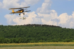 14-Avions anciens  8 mai (126)