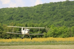 14-Avions anciens  8 mai (138)