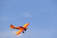 14-Avions anciens  8 mai (43)