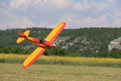 14-Avions anciens  8 mai (61)