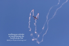 GPR AMCCO 2018 (26)