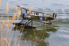 BD1A1436
